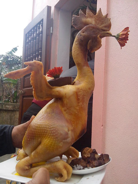 nam dinh dau co duoc phep cung thit ga