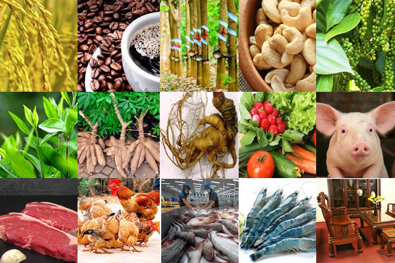 Description: http://nguoilambao.vn/upload_images/images/lay-y-kien-ve-15-san-pham-nong-nghiep-chu-luc-quoc-gia.jpg