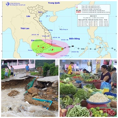 Description: Ảnh minh họa