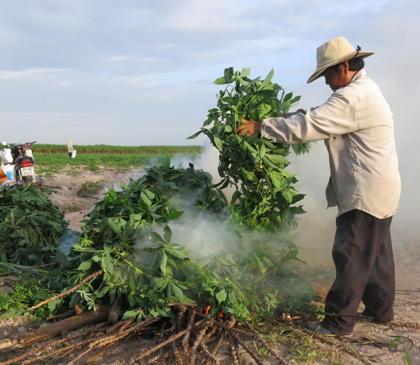 Description: dich benh.JPG