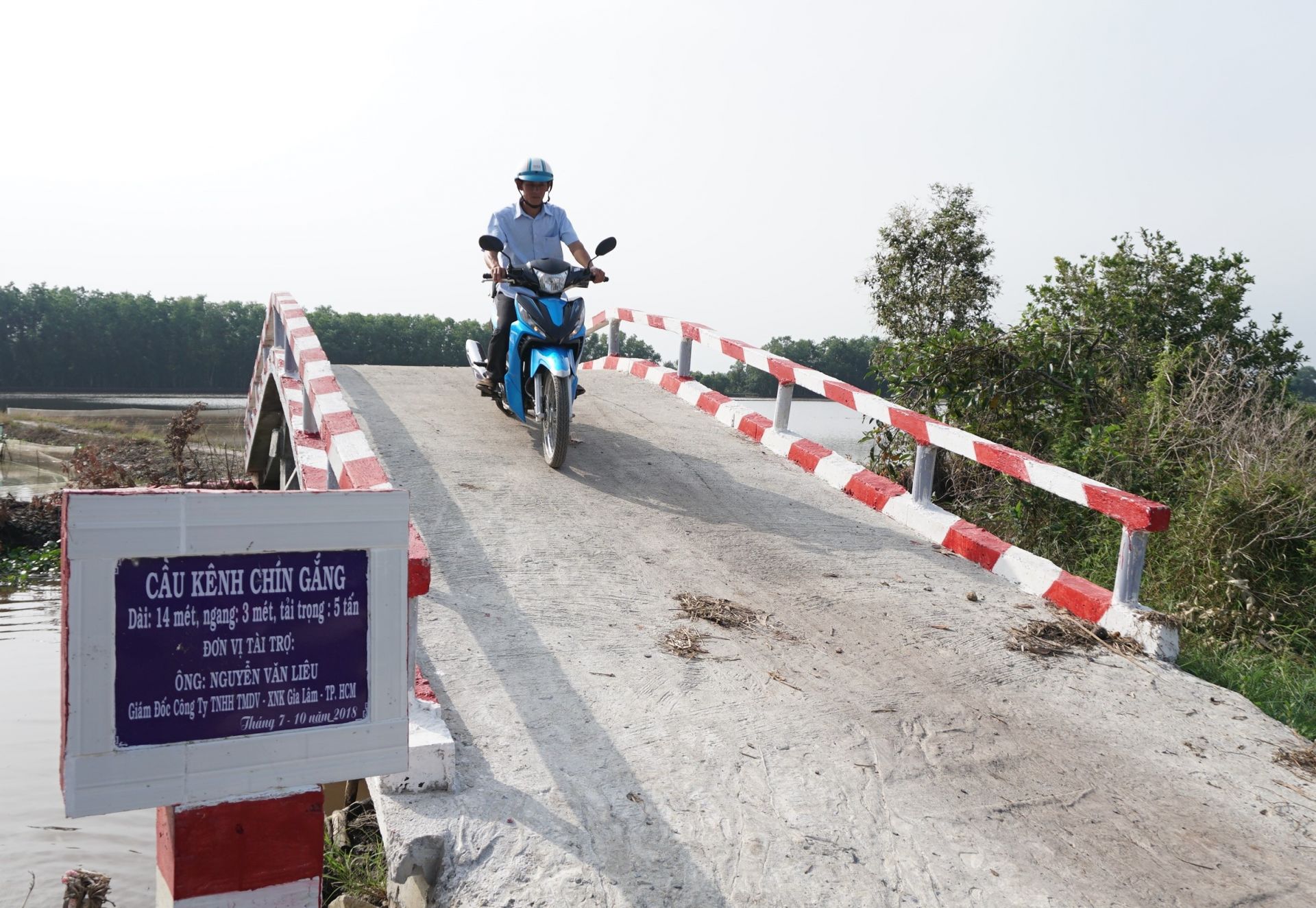 Description: cay cau.JPG