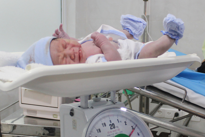 Description: Những công dân đầu tiên chào đời năm 2019