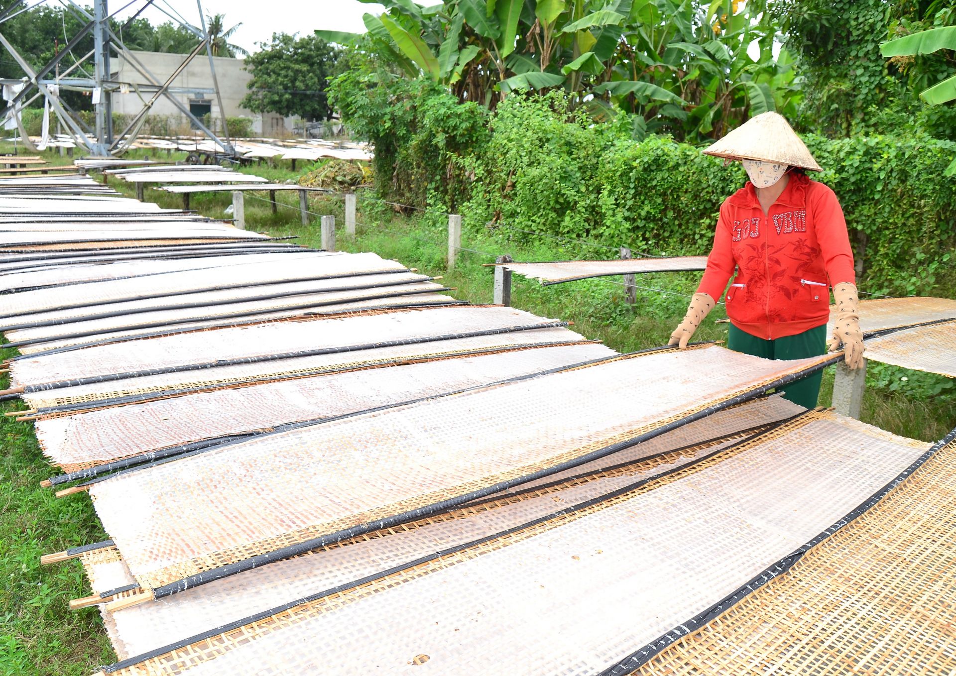 Description: DSC_0363.JPG