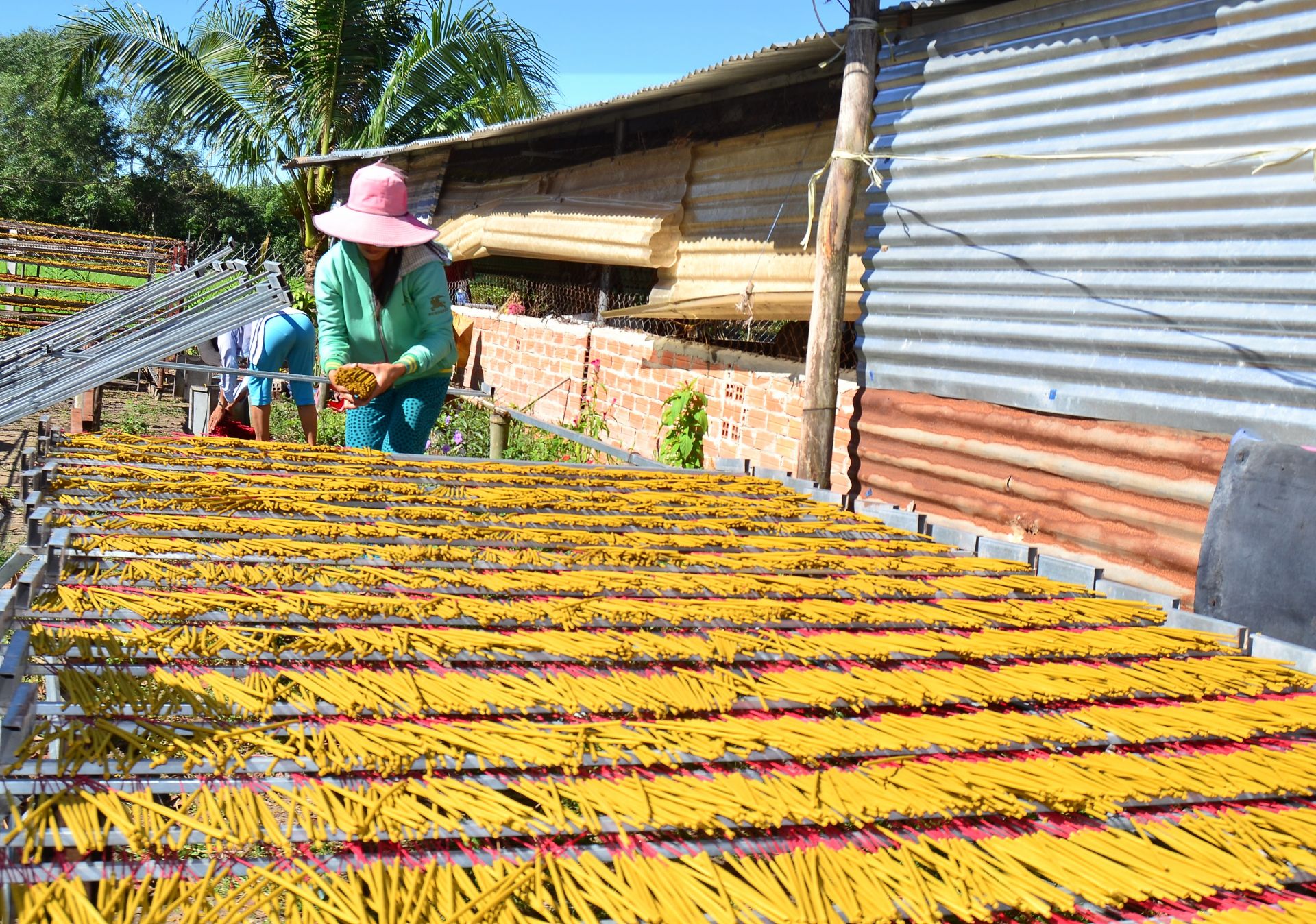 Description: DSC_0233.JPG