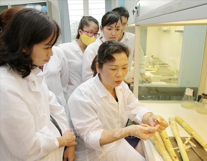 Description: Chú thích ảnh