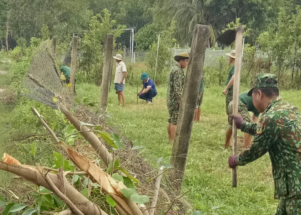 Description: ninh son