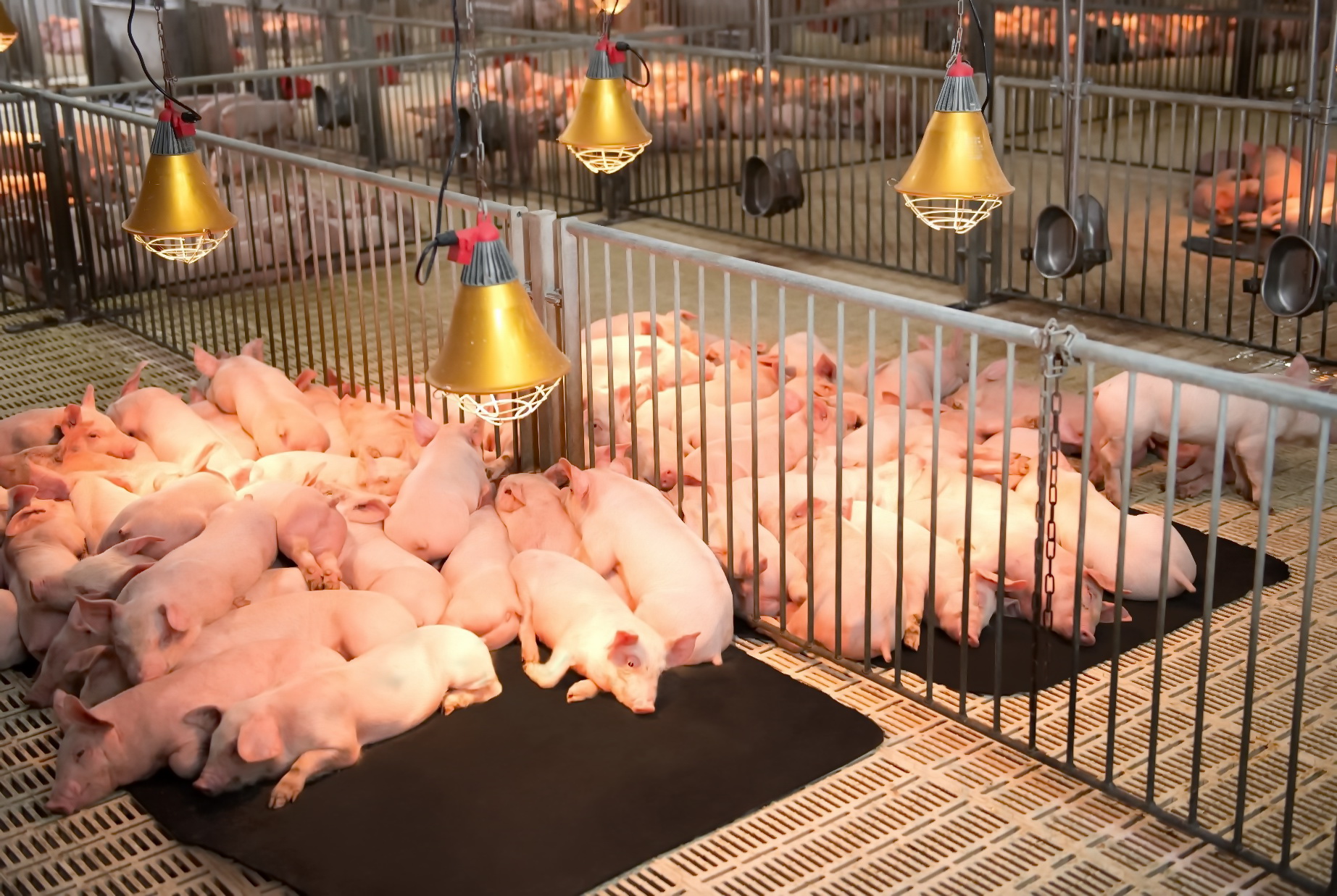 A picture containing indoorDescription automatically generated