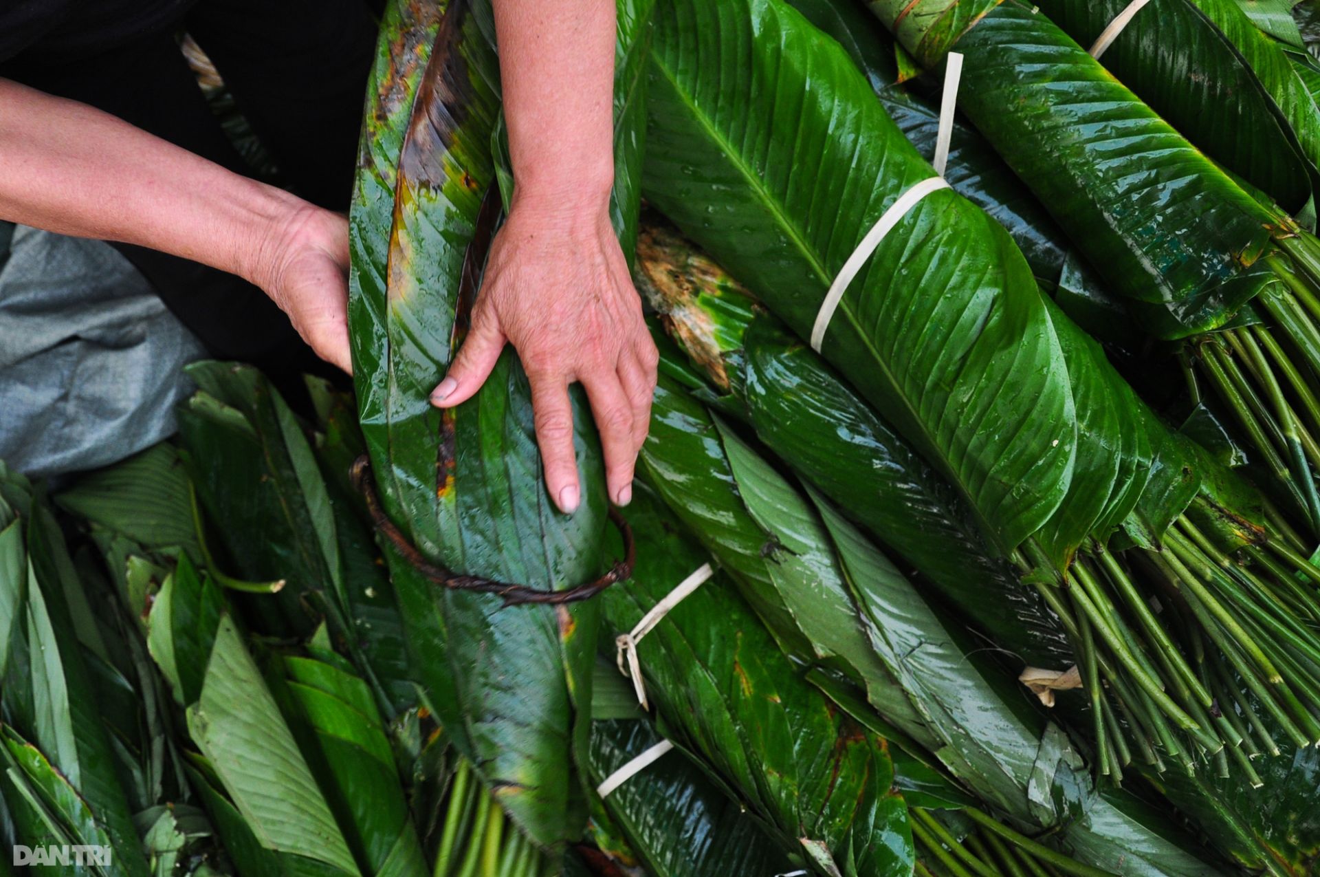 Chợ lá dong lâu đời nhất Sài Gòn tấp nập ngày giáp Tết - Ảnh 2.