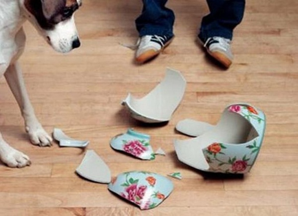 nhung dieu cam ky khong nen lam vao ngay dau nam moi hinh anh 1