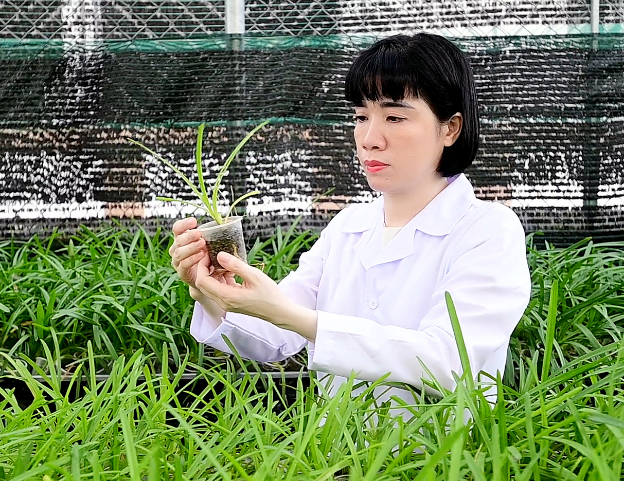 Ba nhà khoa học nữ có nghiên cứu xuất sắc được giải L’Oréal - UNESCO