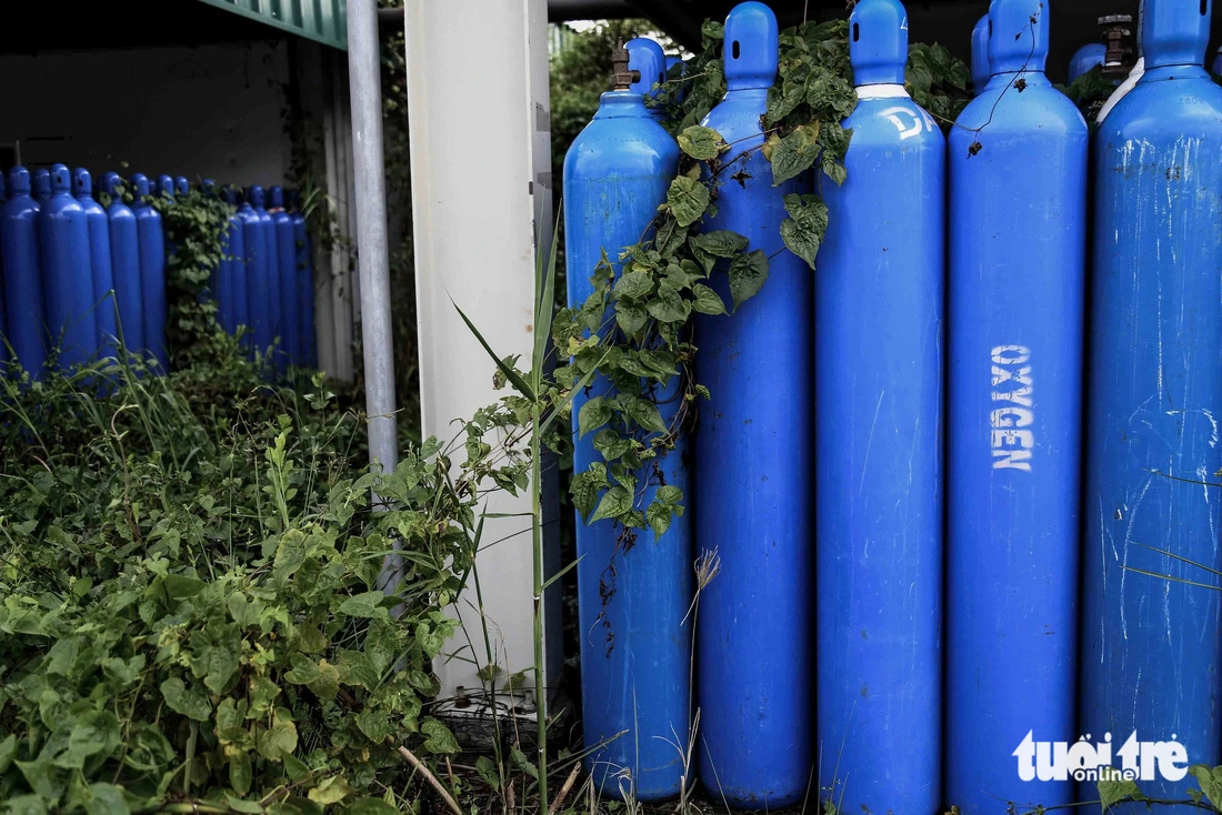 Cỏ dại mọc um tùm tại khu vực chứa 10.000 bình oxy điều trị COVID-19 tại Bệnh viện dã chiến số 13 (TP.HCM). Ngày 27-10, Sở Y tế TP.HCM cho hay đã tham mưu UBND TP ban hành quyết định giải thể Bệnh viện dã chiến số 13 (huyện Bình Chánh) - Ảnh: PHƯƠNG QUYÊN